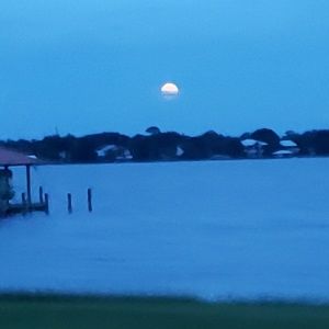 Meet your Posher, Tonya